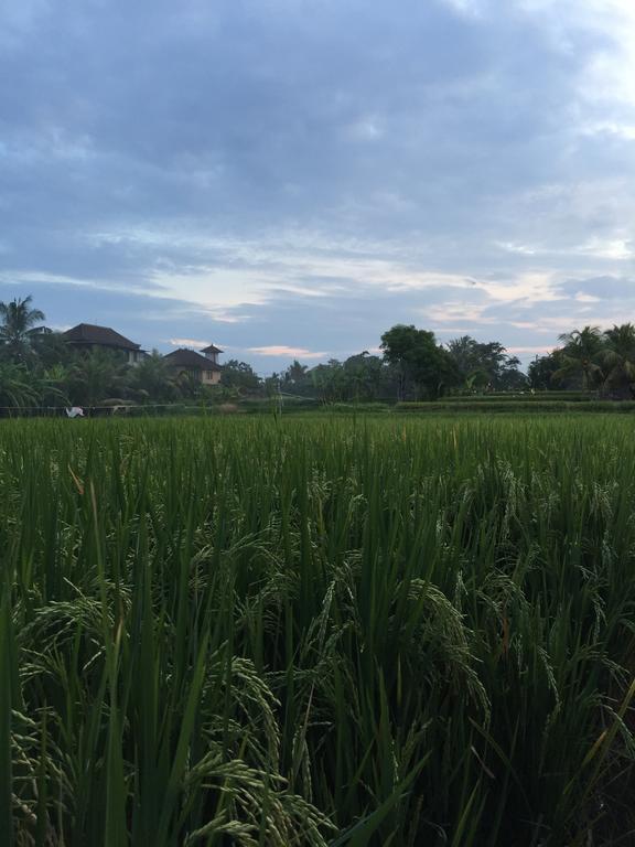 Pondok Buda Merta Ubud  Exterior photo